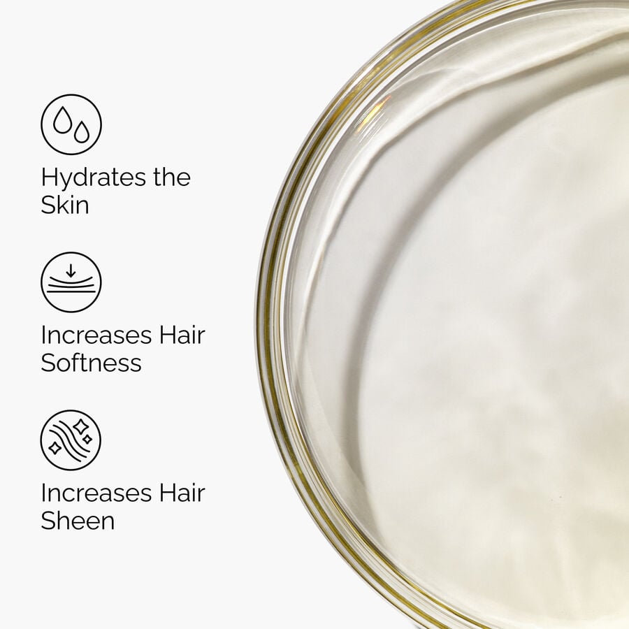 100-organic-cold-pressed-moroccan-argan-oil-g9 FY25-D41247-ORD-Web-PDP-100-Argan-Oil-1x1-EN-3.jpg