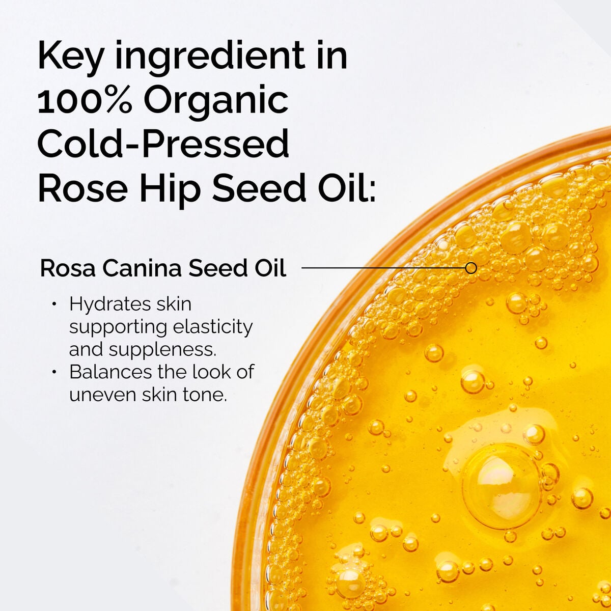 100-organic-cold-pressed-rose-hip-seed-oil-j5 FY25-D41247-ORD-Web-PDP-100-Rose-Hip-Oil-1x1-EN-2.jpg