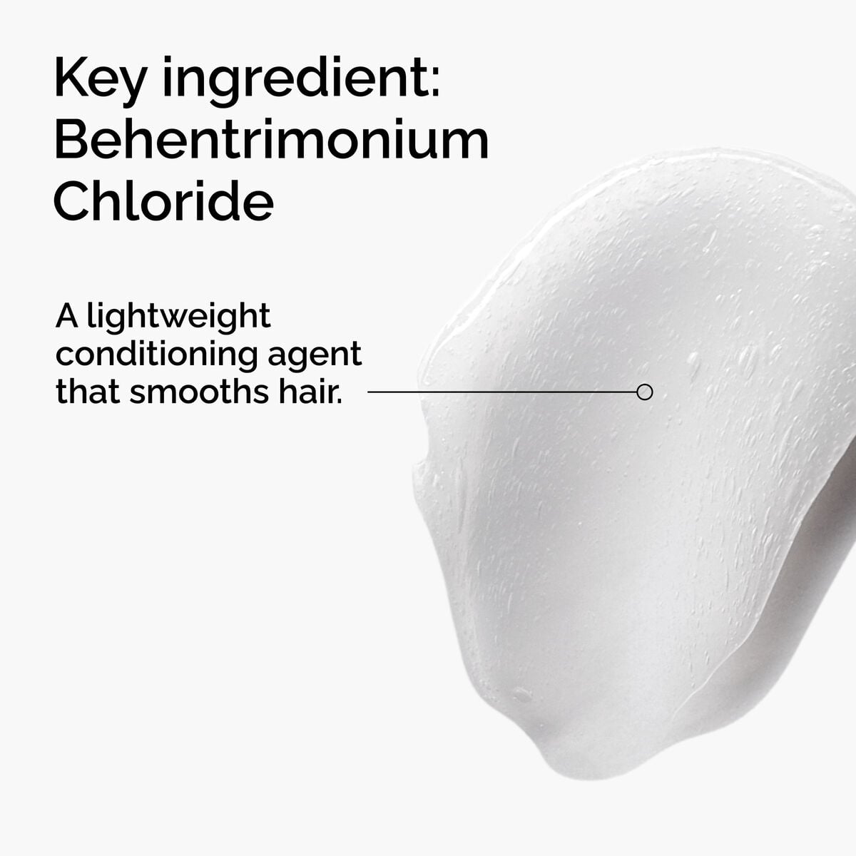 behentrimonium-chloride-2-conditioner-g1 FY25-D41247-ORD-Web-PDP-BTC-1x1-EN-2a.jpg