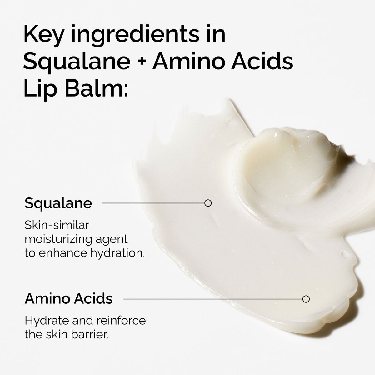squalane-amino-acids-lip-balm-u3 FY25-D41247-ORD-Web-PDP-Sql-Amino-Lip-1x1-EN-2a.jpg